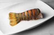 Lobster Tails 7oz each